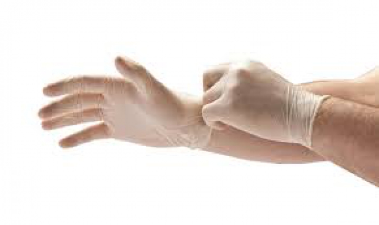 Vinyl Exam Gloves
